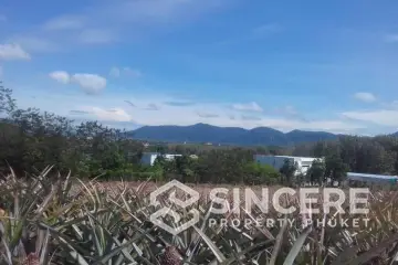 Land for Sale in Cherngtalay, Phuket